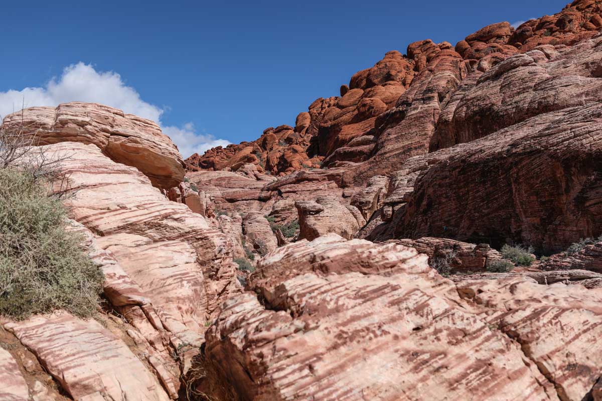Best American Spring Break Destinations: Red Rock Canyon State Park