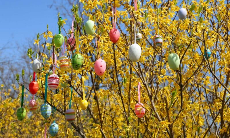 The Best Places to Celebrate Easter in the USA