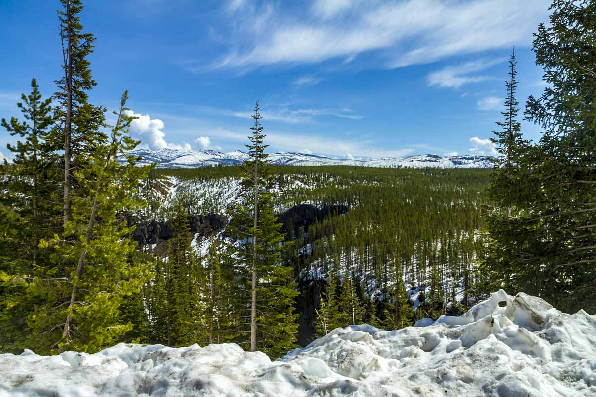 Best Places to Visit in March: Yellowstone National Park