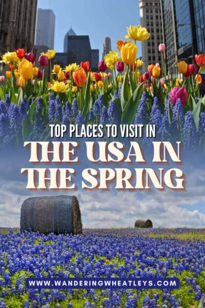 Best Places to Visit in the USA in Spring