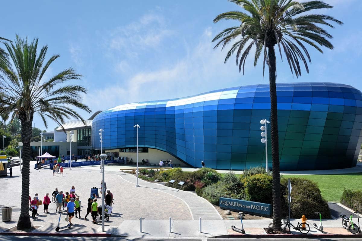 Best Things to do in Long Beach, California: Aquarium of the Pacific