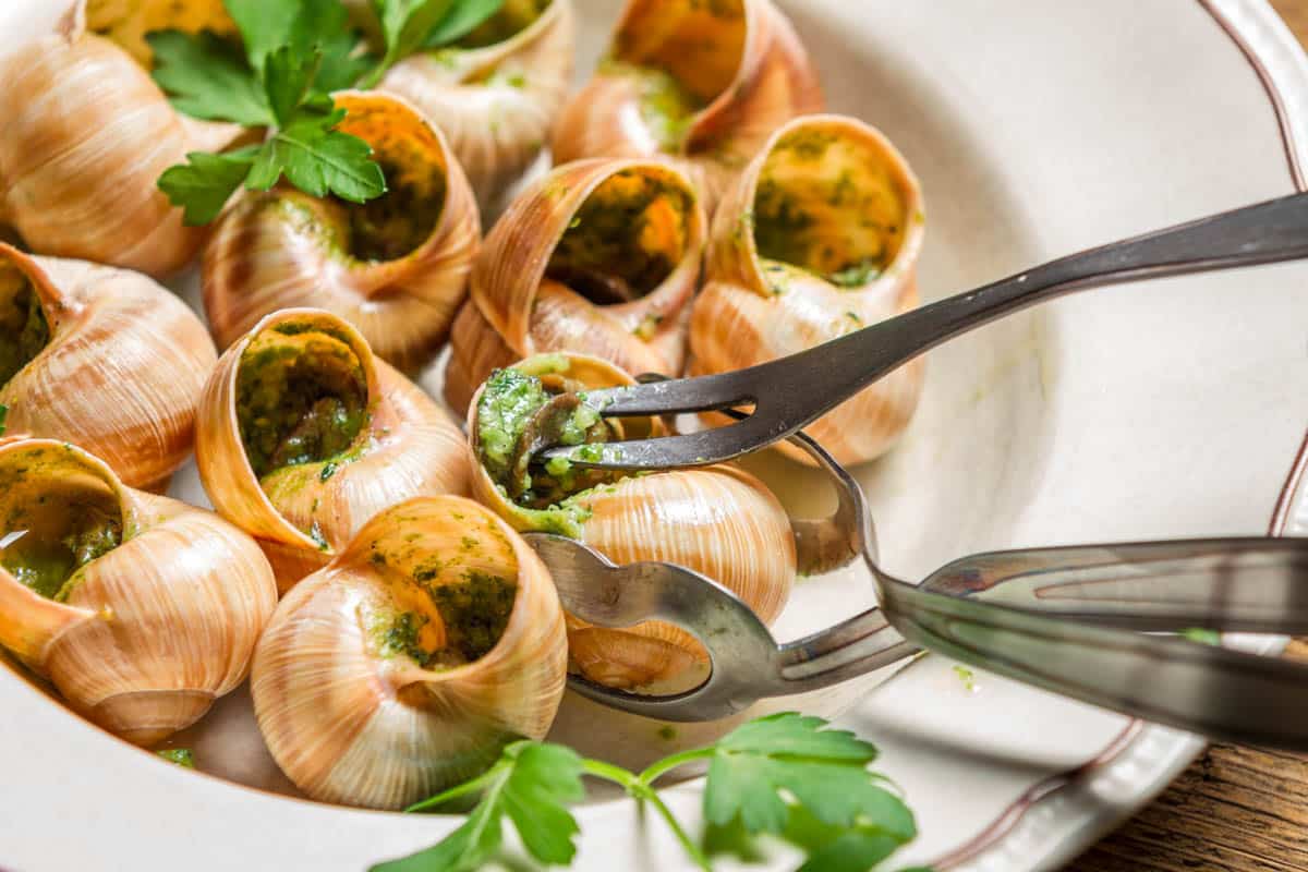 Best Things to do in Paris, France: Escargots