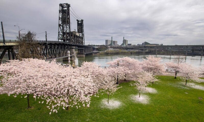 The Best Things to do in Portland, Oregon in March