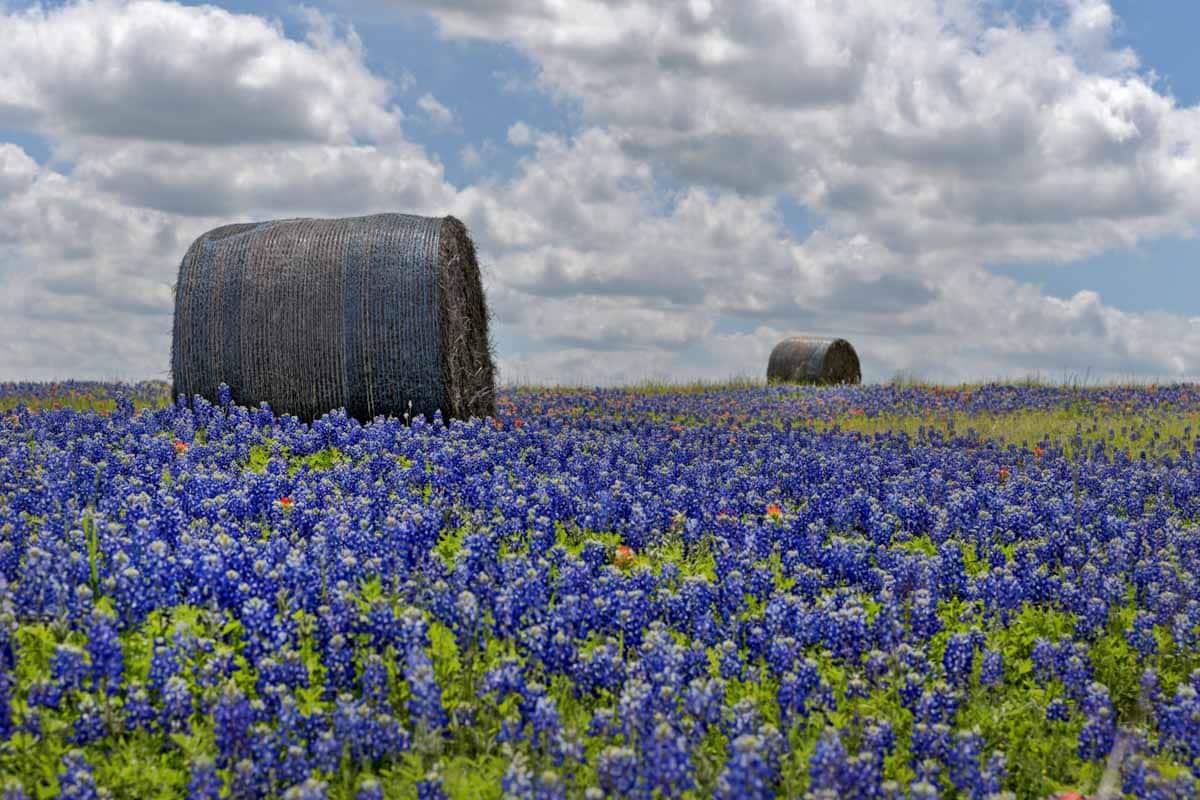 Best USA Destinations to Visit in Spring: Texas Hill Country