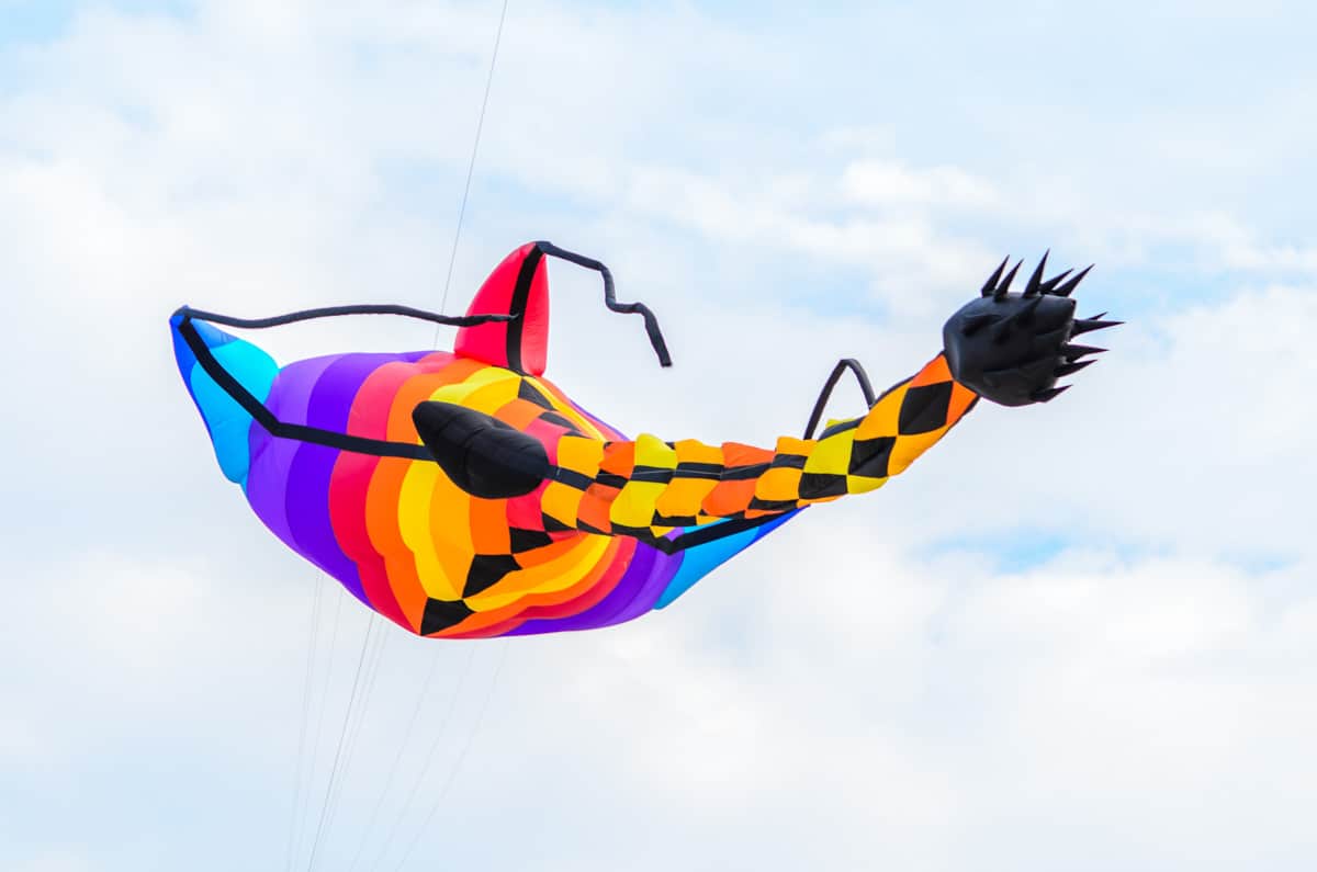 Cool Things to do in Austin in March: Kite Fest