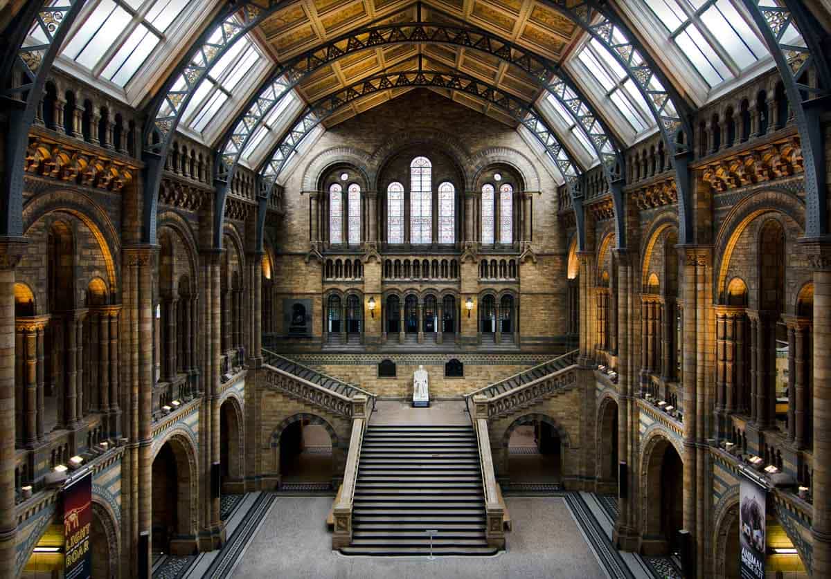 Cool Things to do in London in the Rain: Natural History Museum