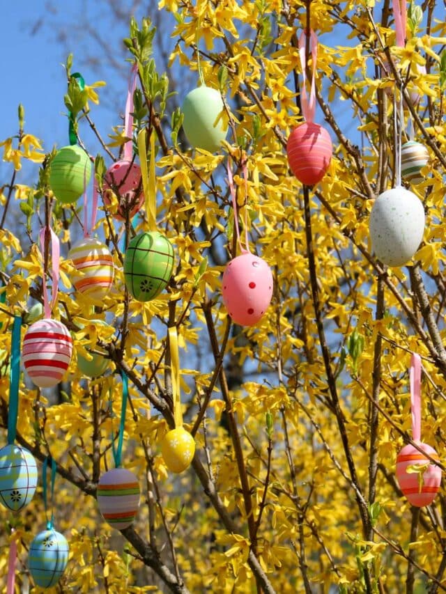 The 15 Best Easter Holiday Destinations In The USA Story