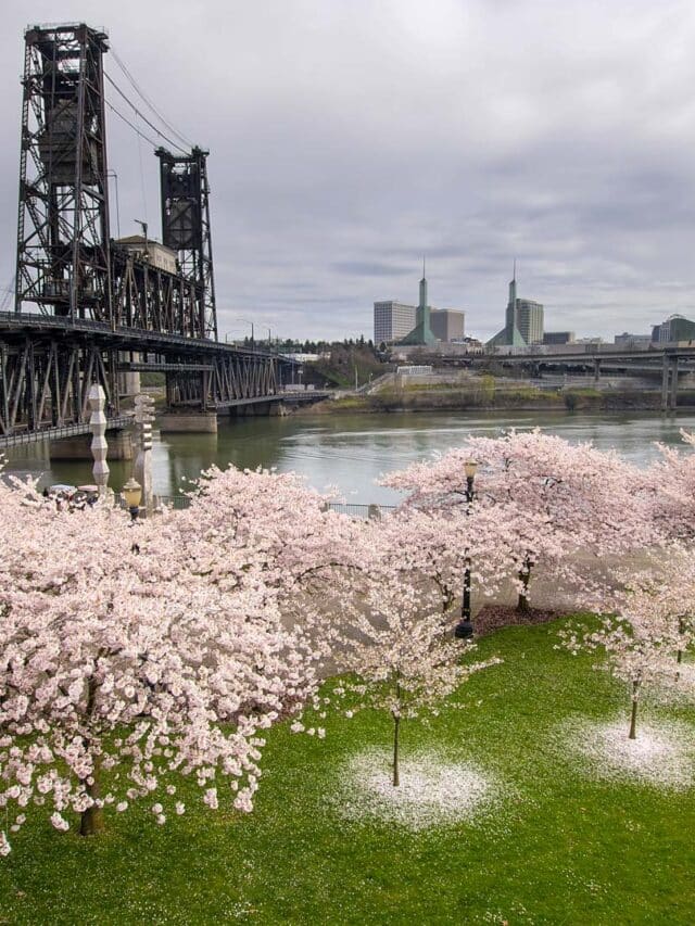The 15 Best Things to do in Portland, Oregon in March Story