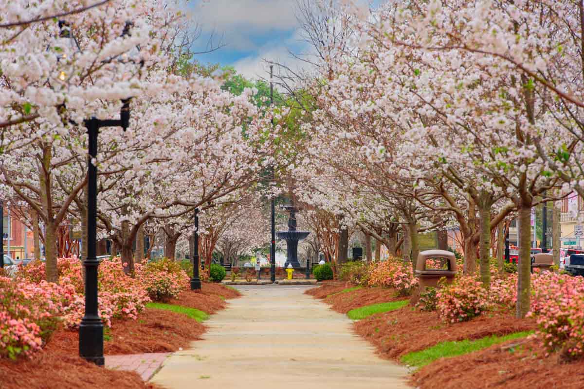 Must See Places in USA during Spring: Macon, Georgia