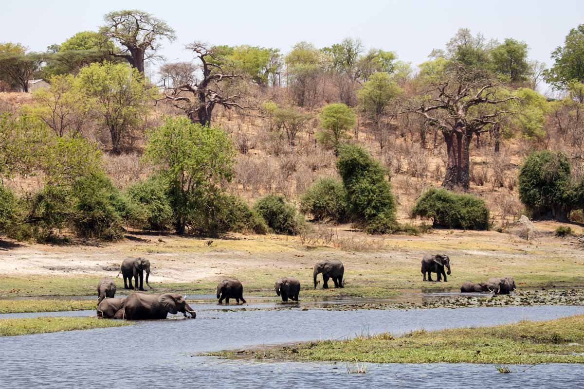 Must Visit Places in May: Chobe River