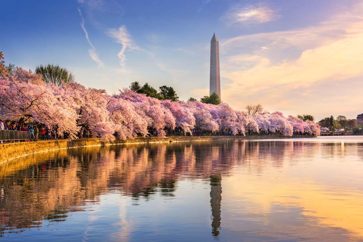 Places in the US to Visit in Spring: Washington, DC