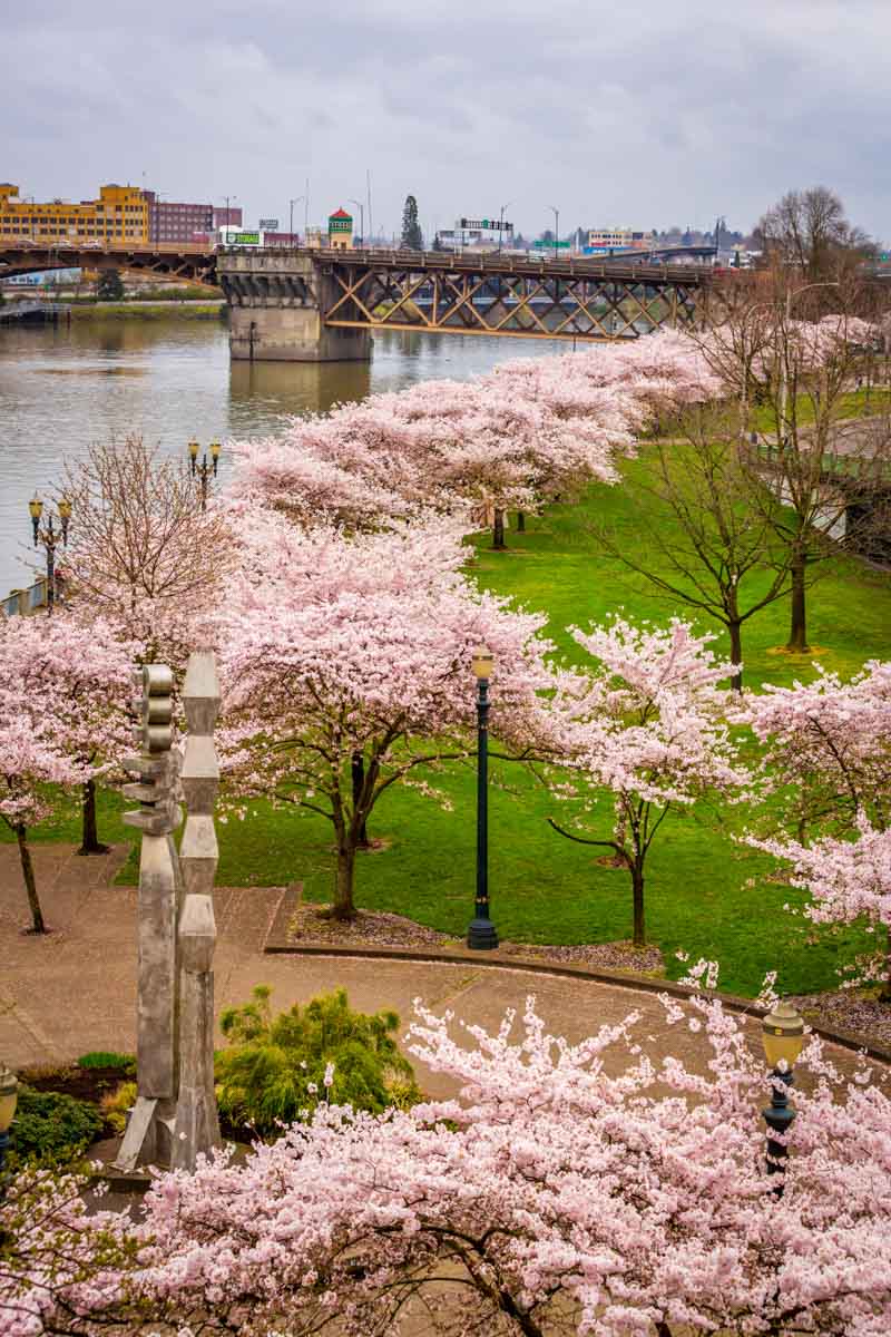 Portland in March Things to do: Mccall Waterfront Park