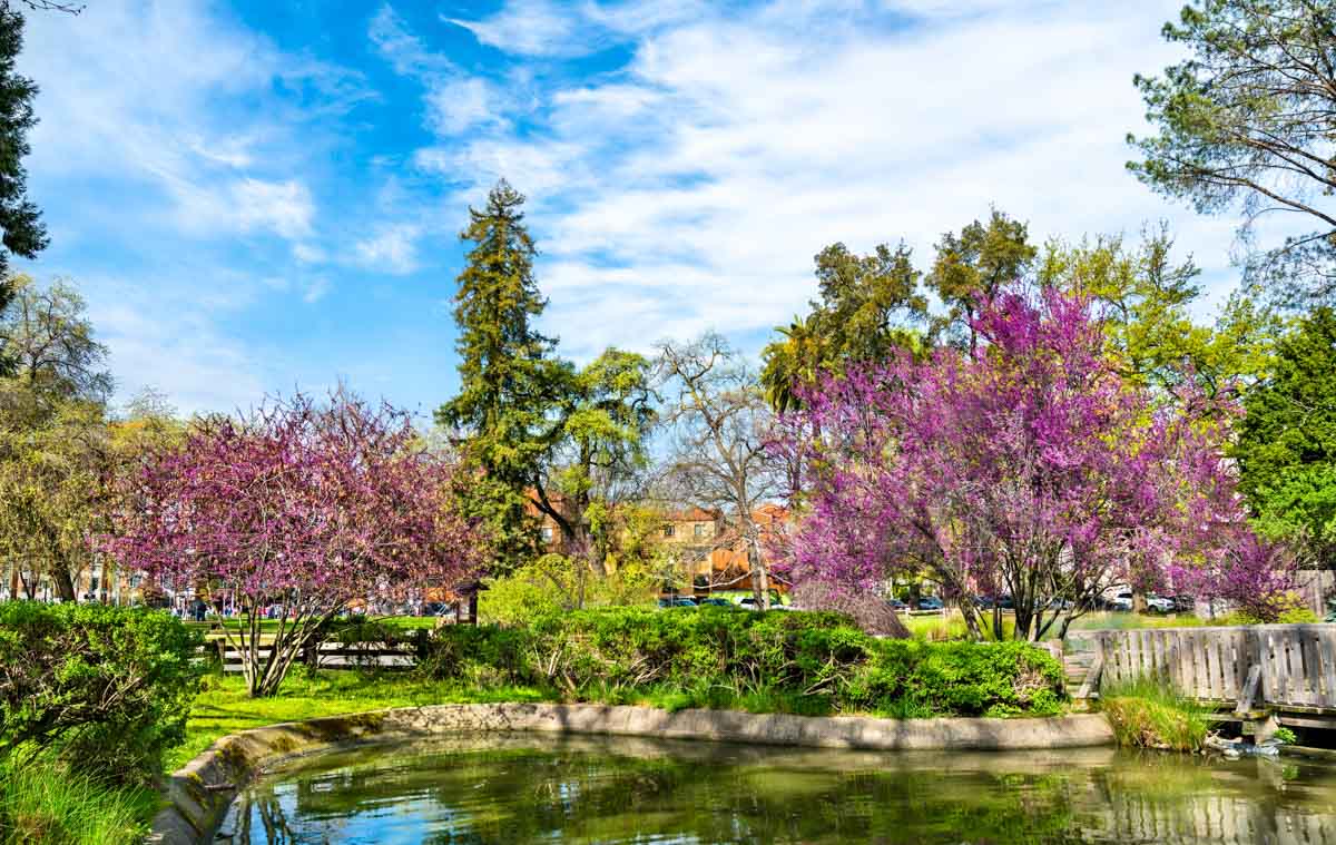 Sacramento Things to do: Sutter’s Fort State Historic Park