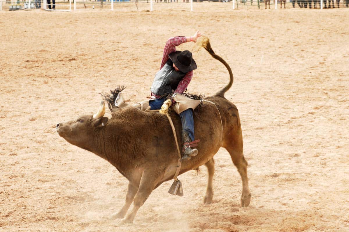 Unique Things to do in Austin in March: Rodeo Austin