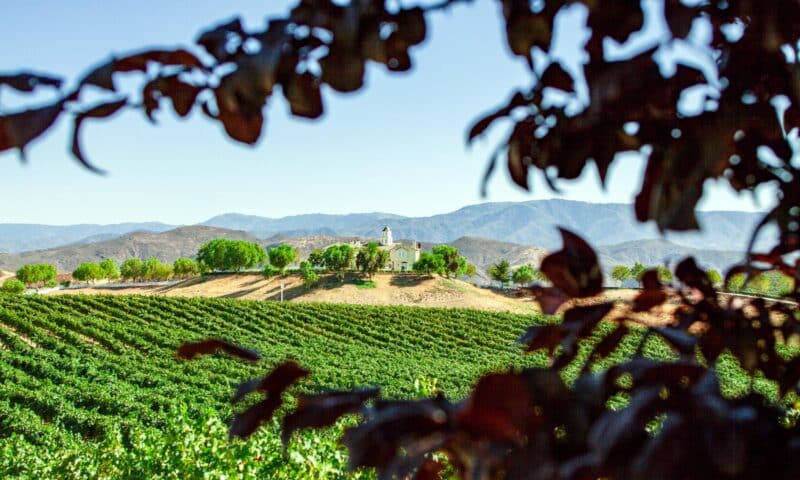 The Best Luxury Hotels in Temecula Wine Country
