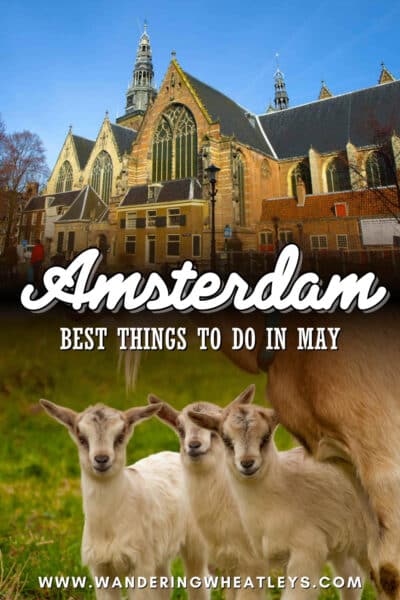 Best Things to do in Amsterdam in May