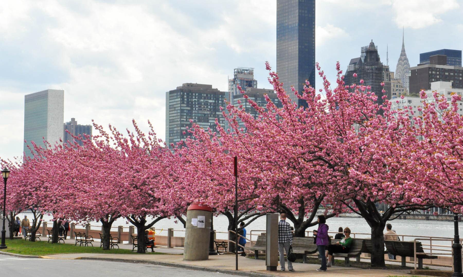 The Best Things to do in New York City in April