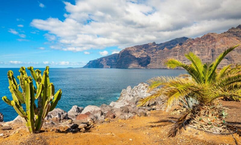 Which Is the Best Canary Island for You? (By a Local!)