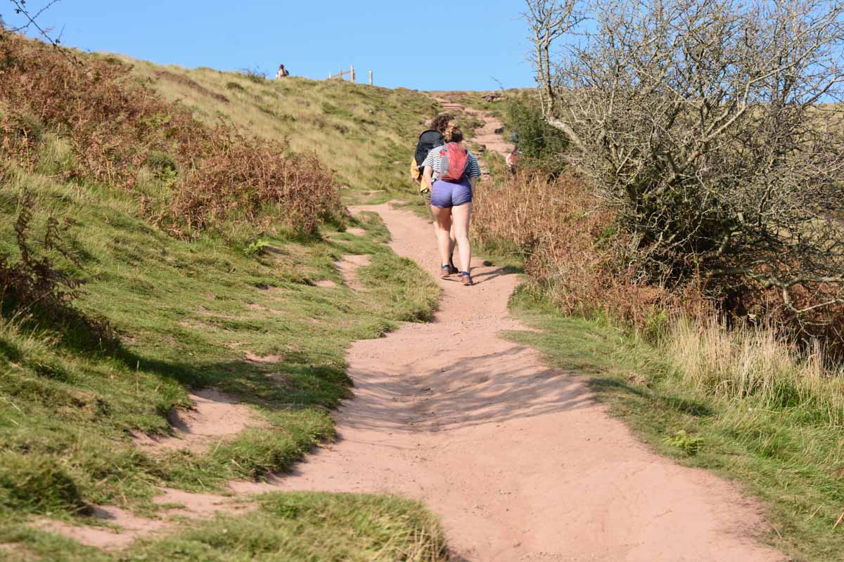 Best Hiking Trails in Wales: Heart of Wales Line Trail