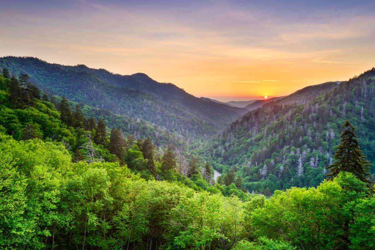 Best National Parks to Visit in Summer: Great Smoky Mountains National Park