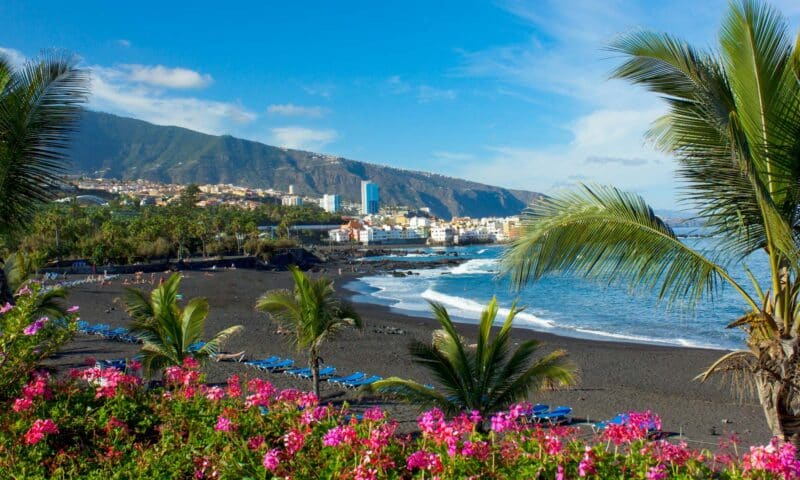 A Local’s Guide to the Best Restaurants in Tenerife
