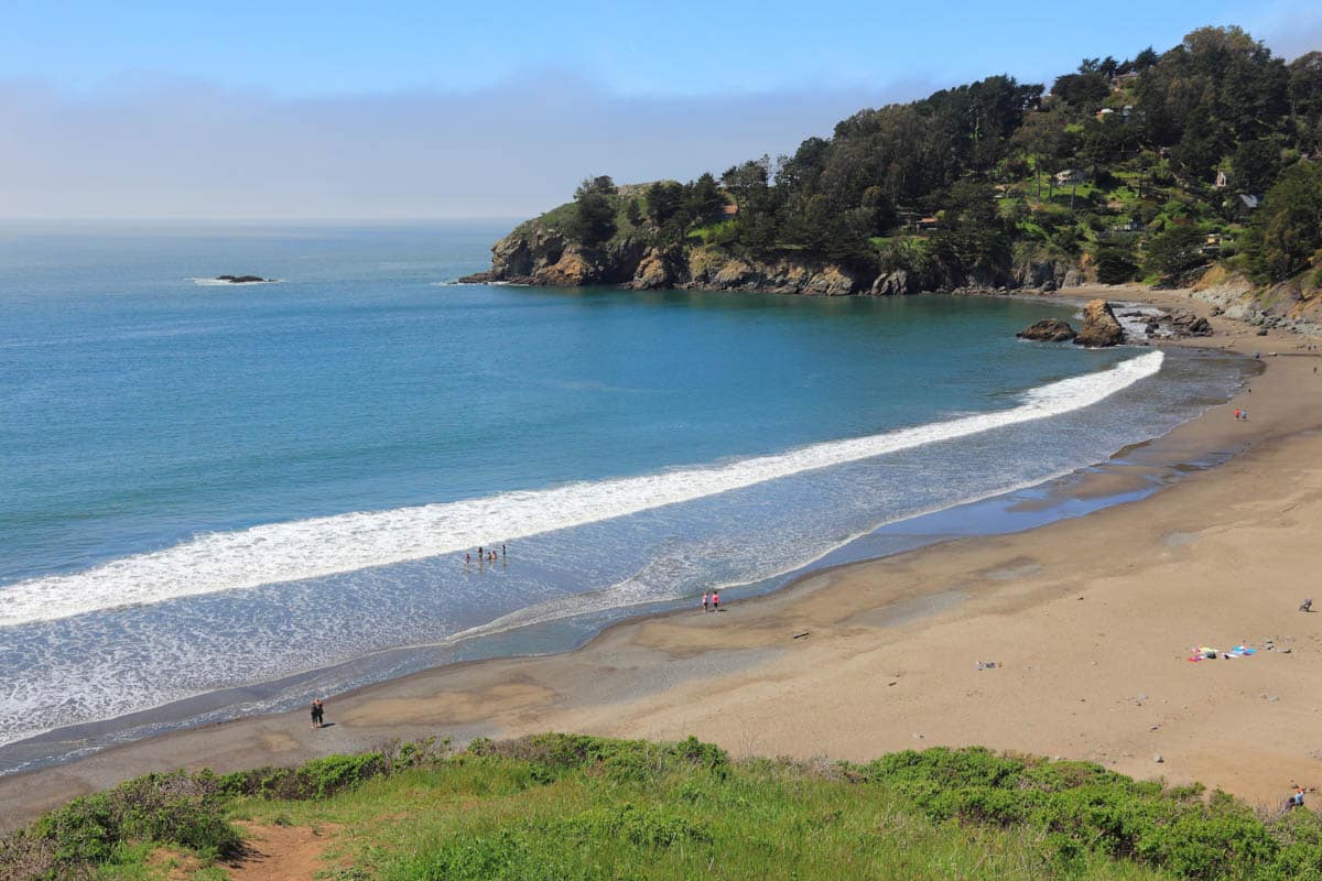 Must Visit Beaches San Francisco: Muir Beach