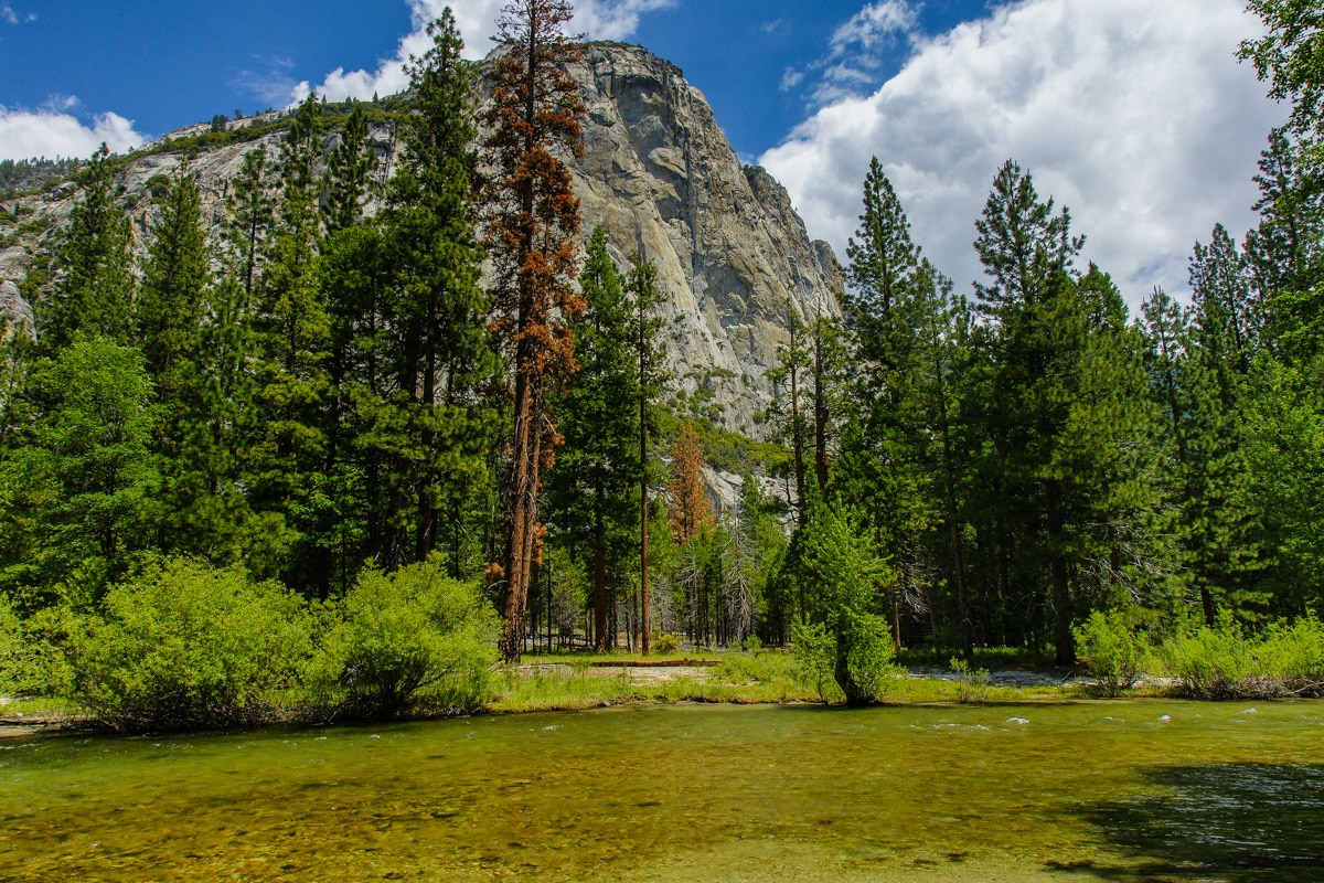 Must-Visit National Parks in Summer: Kings Canyon National Parks