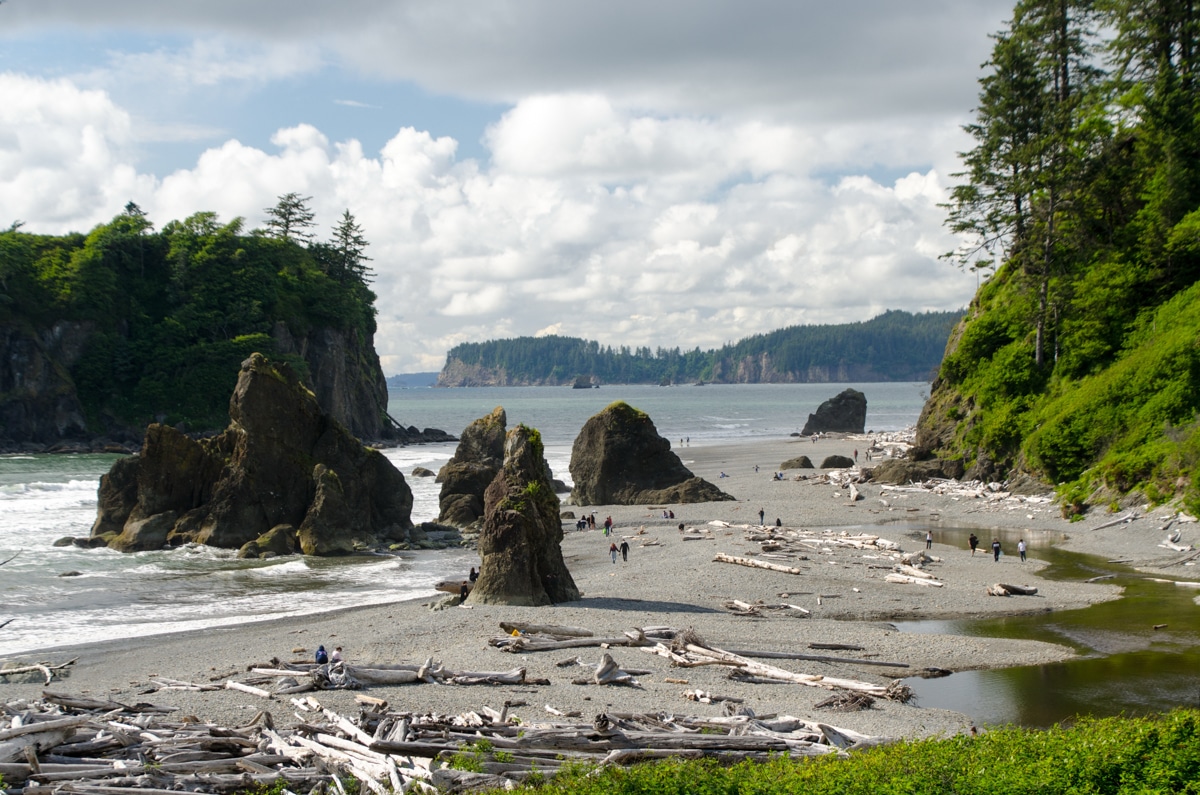 National Parks You Must Visit in Summer: Olympic National Park