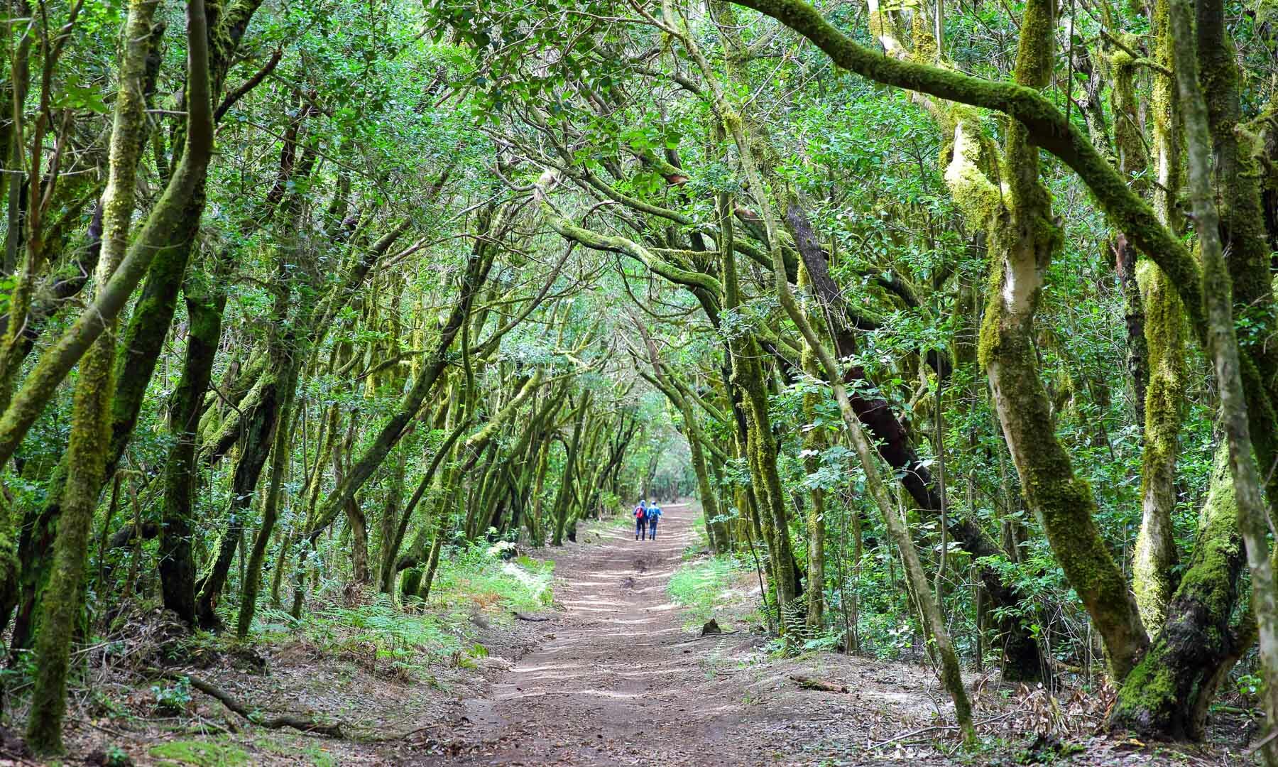 The Best Hikes in the Canary Islands