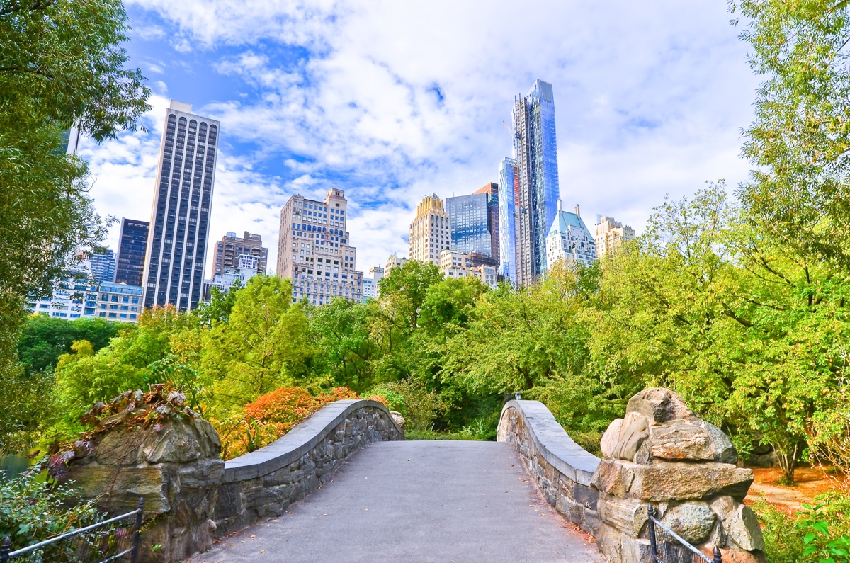 Best Places to Visit in the US in Summer: New York City