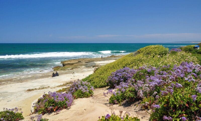 Incredible Beaches in San Diego, California