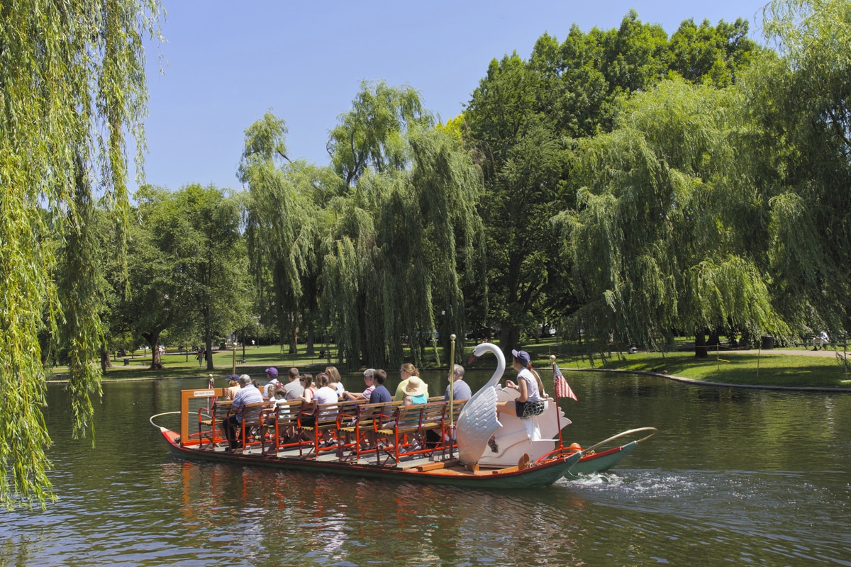 Places to Visit in Boston During Summer: Swan Boat