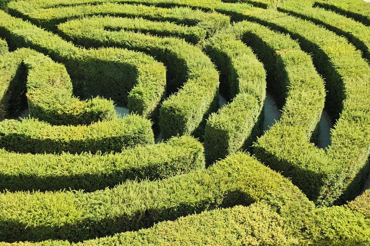 Unique Things to do in London in June: Hampton Court Palace Maze