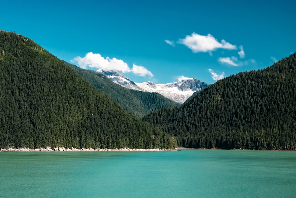 What Places to Visit in the US in Summer: Kenai Fjords National Park