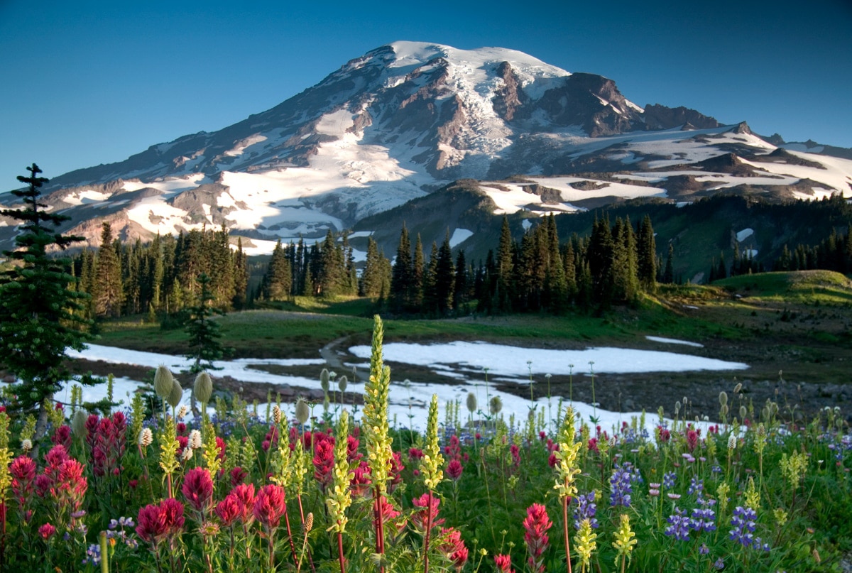 Best National Parks in July: Mount Rainier National Park Summer