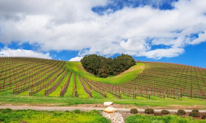The Best Boutique Hotels in Paso Robles, California